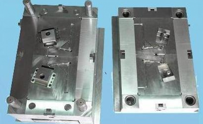 Mold 22