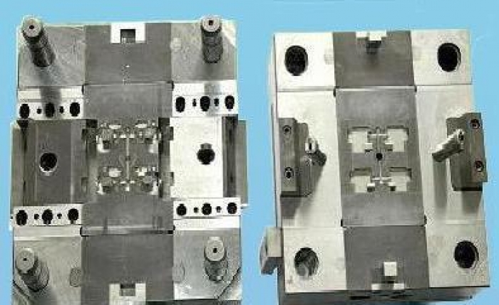 Mold 21